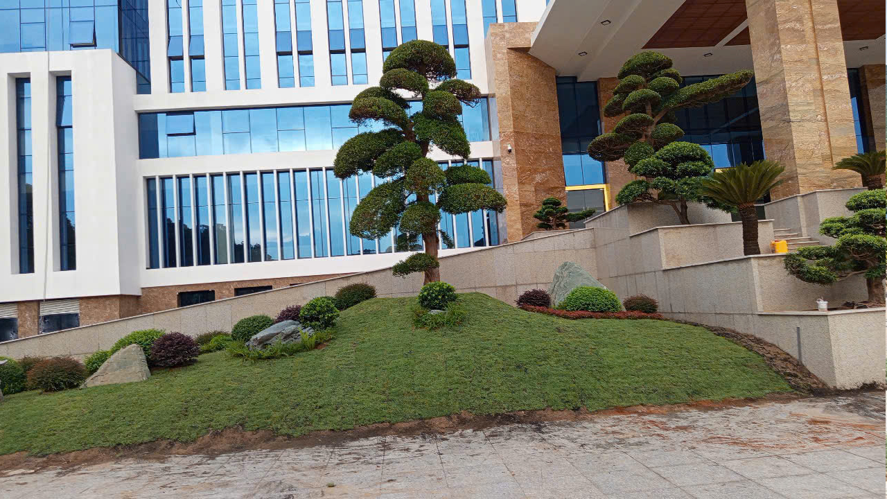 Công trình Cảnh Quan Hoàn Thiện