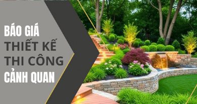 Thiết kế sân vườn giá rẻ trọn gói Thiết kế sân vườn giá rẻ trọn gói
