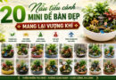 20 Mẫu tiểu cảnh mini để bàn đẹp mang lại vượng khí