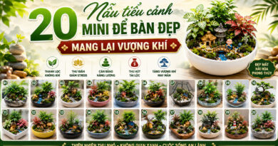 20 Mẫu tiểu cảnh mini để bàn đẹp mang lại vượng khí